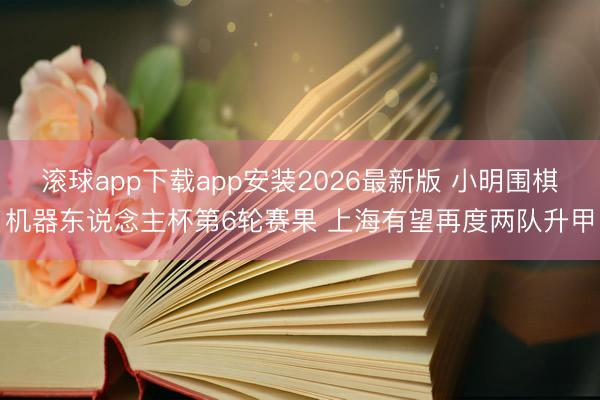 滚球app下载app安装2026最新版 小明围棋机器东说念主杯第6轮赛果 上海有望再度两队升甲
