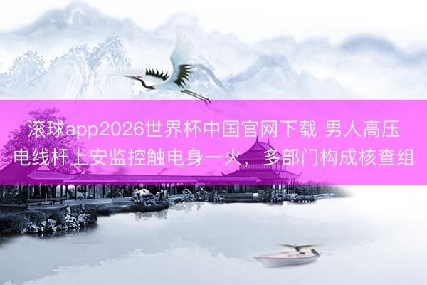 滚球app2026世界杯中国官网下载 男人高压电线杆上安监控触电身一火，多部门构成核查组