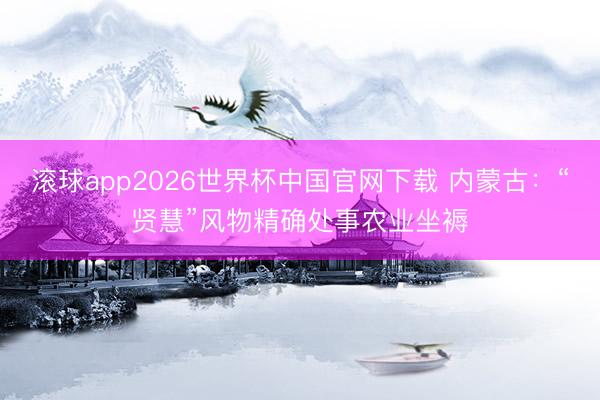 滚球app2026世界杯中国官网下载 内蒙古：“贤慧”风物精确处事农业坐褥